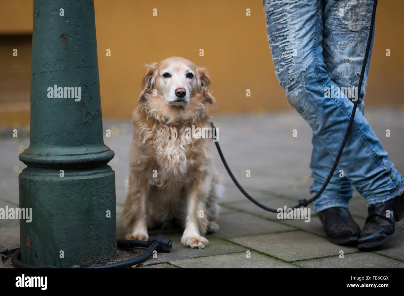 Tätowierte Männer mit seinem Hund auf der Straße Düsseldorf Stockfoto