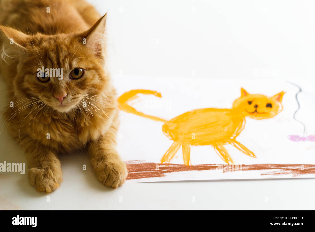 Flauschige Ingwer Katze Laugen auf Zeichnung eines Kindes Stockfoto
