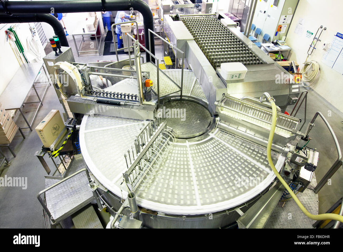 Produktionslinie in Norco Eis Fabrik, Lismore, NSW, Australien Stockfoto