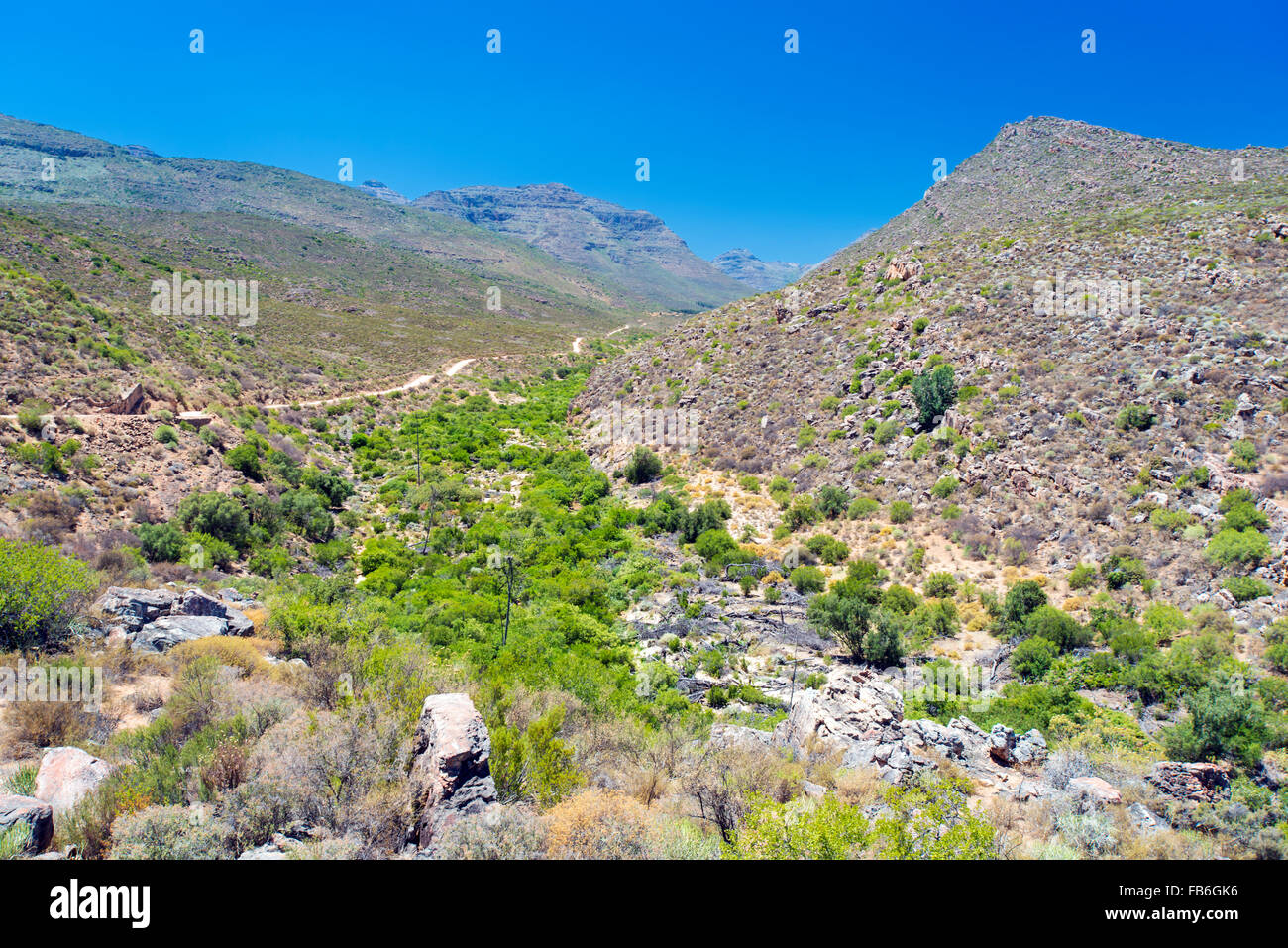 Eine Staub-Straßenlauf durch Cedarberg Wildlife Reserve, Westküste, Südafrika Stockfoto