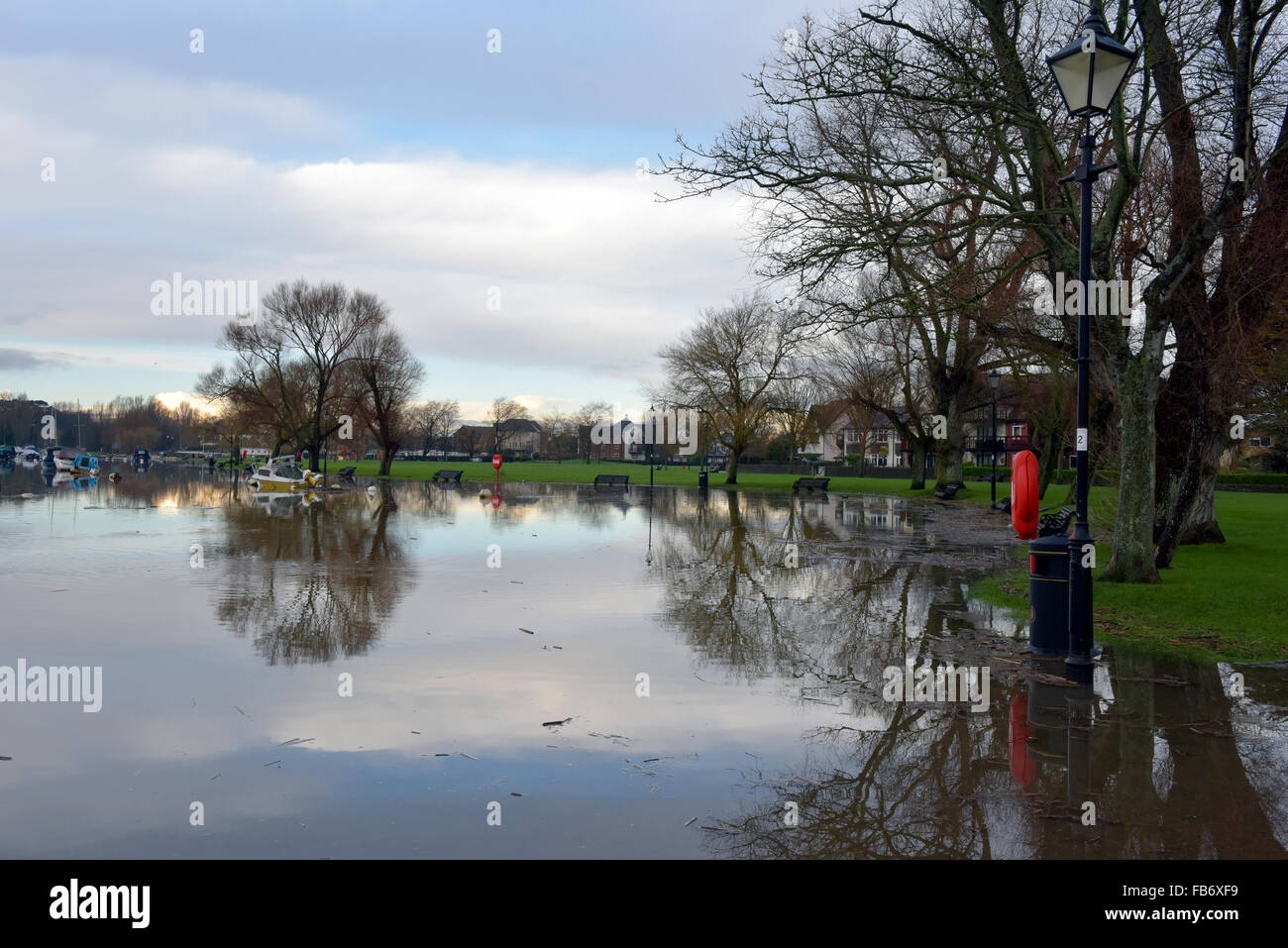 Christchurch, Dorset, UK. 11. Januar 2016. Kai und Uferpromenade von Hochwasser betroffen. Schilf und Bäumen fegte angeschwollenen Fluss Stour erstellen Gefahren, wenn Wasser auf Montag, 11. Januar 2016 zurückgeht. Schwäne Essen den Rasen durch das Hochwasser. Bildnachweis: Roger Allen Fotografie/Alamy Live-Nachrichten Stockfoto