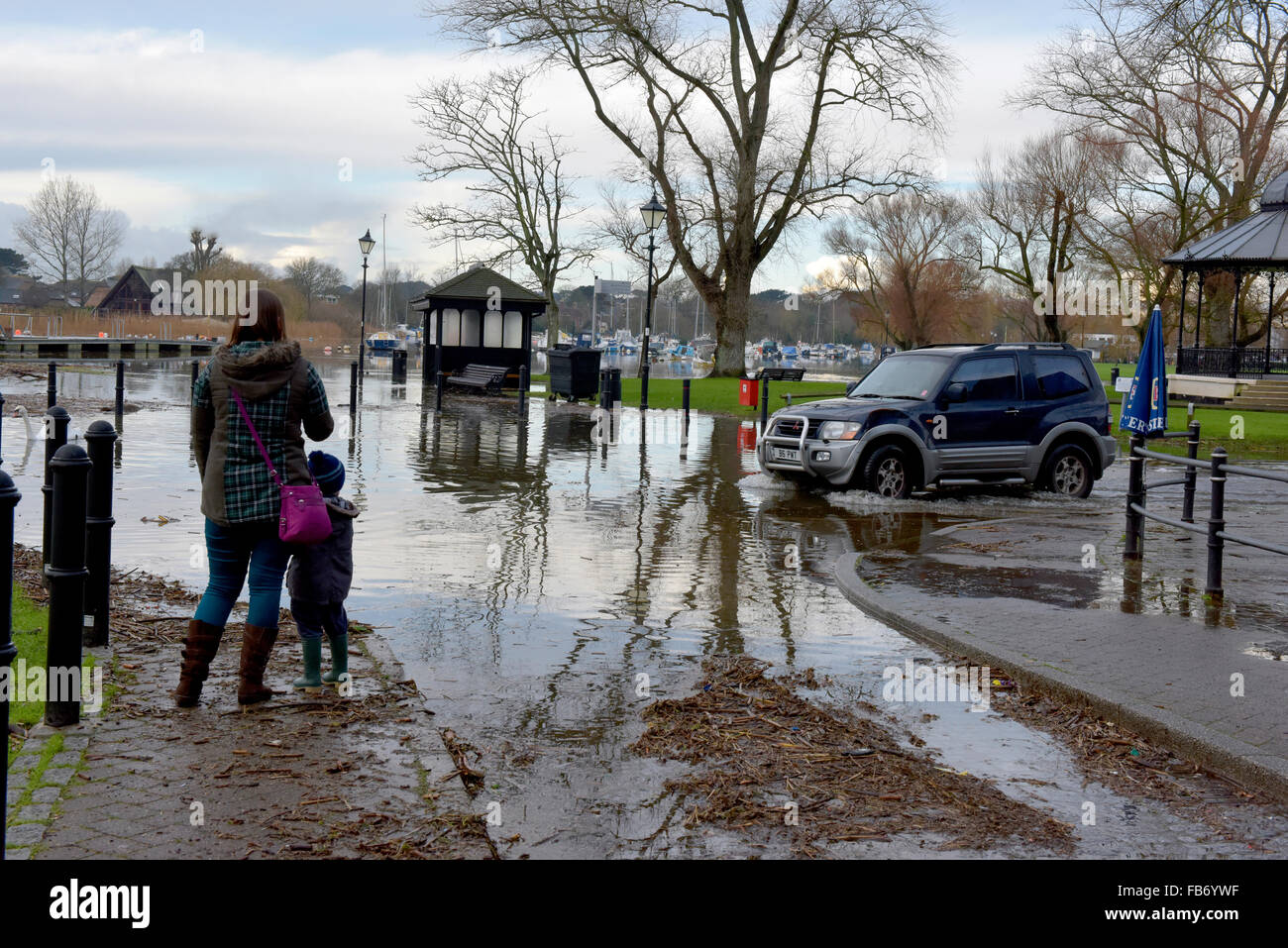 Christchurch, Dorset, UK. 11. Januar 2016. Kai und alte Mühle Café von Hochwasser betroffen. Schilf und Bäumen fegte angeschwollenen Fluss Stour erstellen Gefahren, wenn Wasser auf Montag, 11. Januar 2016 zurückgeht. Schwäne Essen den Rasen durch das Hochwasser. Bildnachweis: Roger Allen Fotografie/Alamy Live-Nachrichten Stockfoto