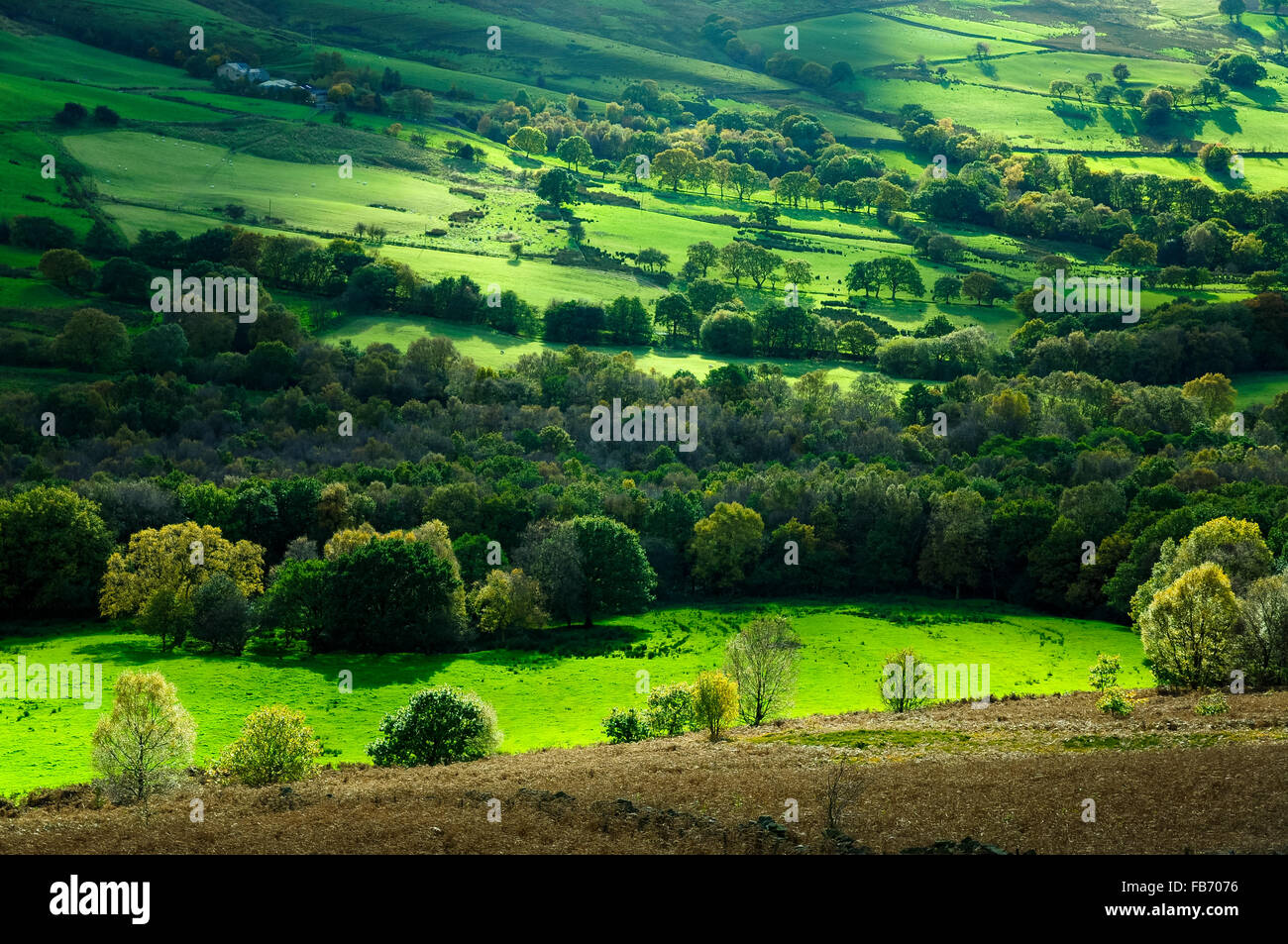 Herbstfarben in der englischen Landschaft in North Derbyshire. Blick hinunter auf Mischwald und Wiesen. Stockfoto