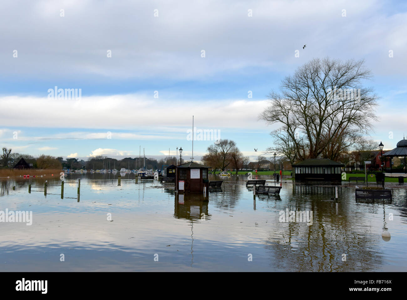 Christchurch, Dorset, UK. 11. Januar 2016. Kai und Uferpromenade von Hochwasser betroffen. Schilf und Bäumen fegte angeschwollenen Fluss Stour erstellen Gefahren, wenn Wasser auf Montag, 11. Januar 2016 zurückgeht. Bildnachweis: Roger Allen Fotografie/Alamy Live-Nachrichten Stockfoto