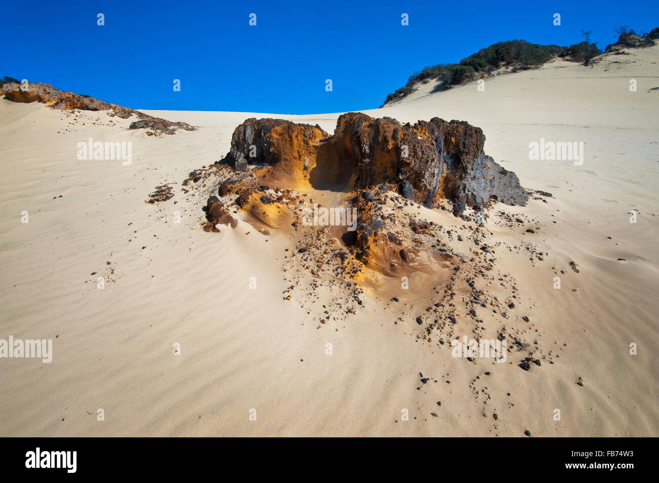 Sandsteinformation auf Carlo Sandblow im Cooloola National Park. Stockfoto