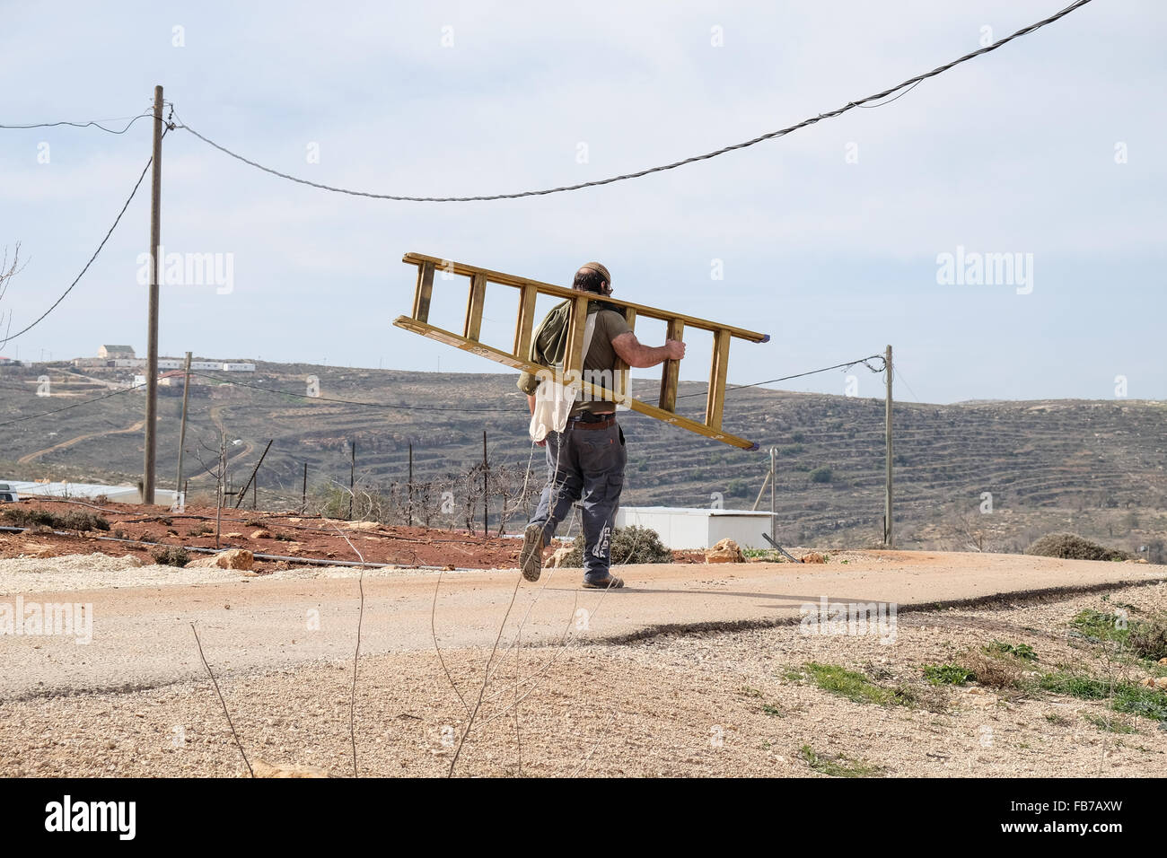 ESH Kodesh, West Bank. 11. Januar 2016. Ein Mann trägt eine Leiter im Esh Kodesh israelischen Außenposten im Westjordanland in der Nähe von Shilo, unter der Jurisdiktion des Regionalrats Mateh Binyamin. Die Siedlung wurde 1999 gegründet und beherbergt heute rund 40 Familien, die es einer nicht autorisierten Gemeinschaft von Shilo betrachten, in den Prozess der immer offiziell autorisiert. Stockfoto