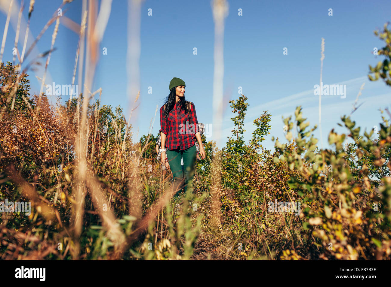Junge Frau beim Wandern im Wald wegschauen Stockfoto