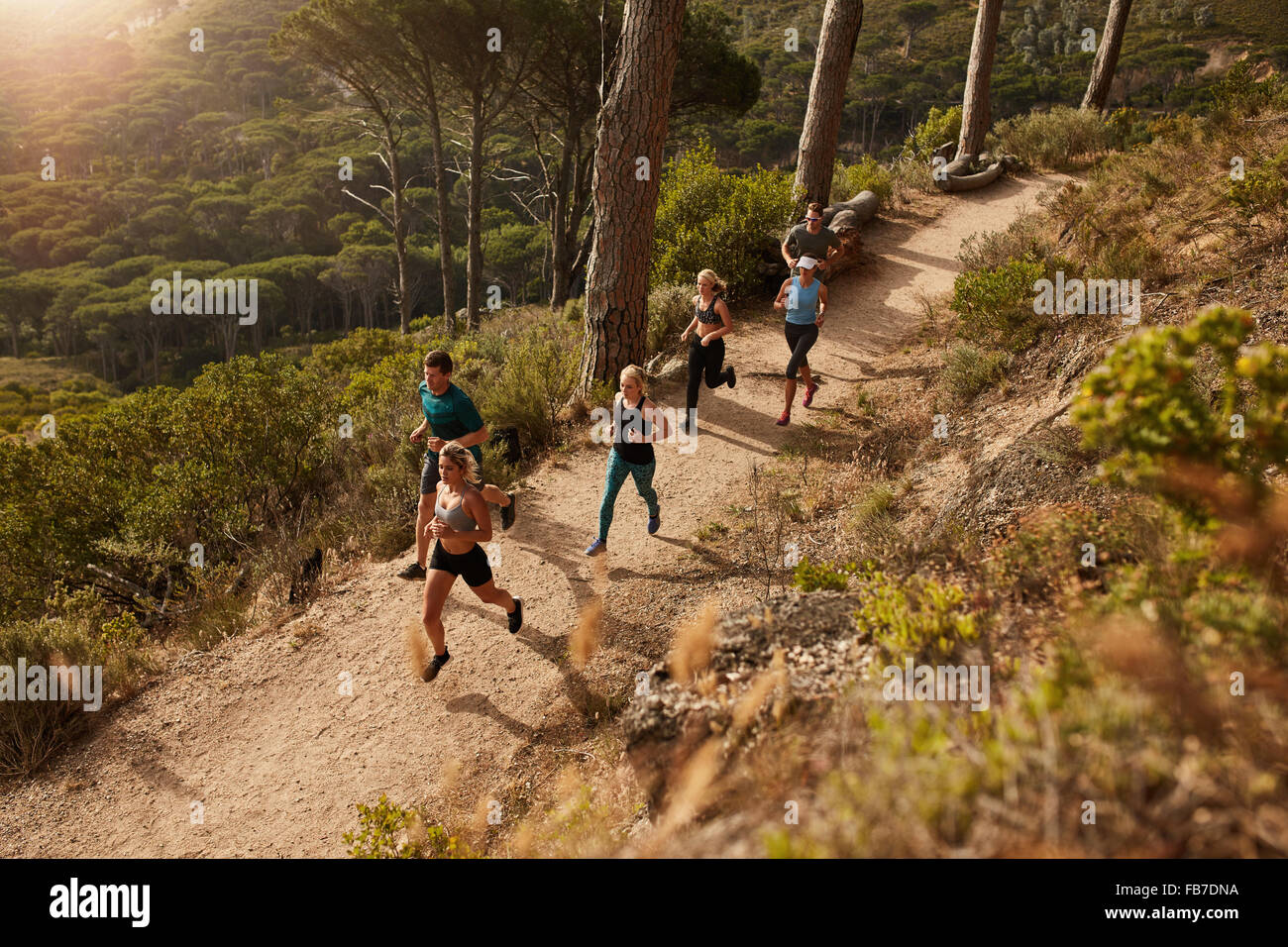 Gruppe von Läufern in ein Cross Country Rennen. Junge Menschen laufen in der Natur. Trail-running-Training. Stockfoto