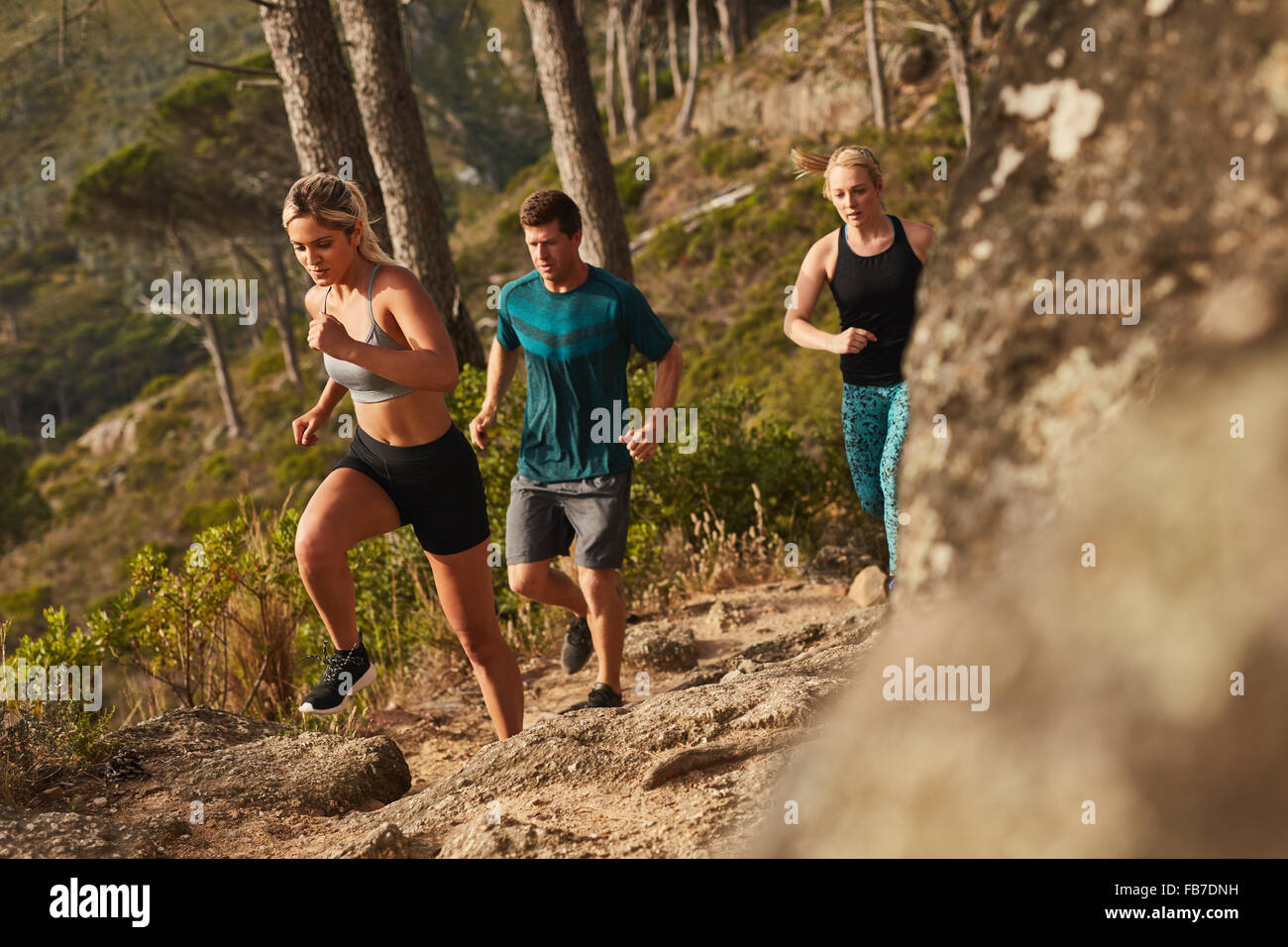 Gruppe von Läufern auf Felsen bergauf laufen. Junge Menschen laufen querfeldein. Stockfoto