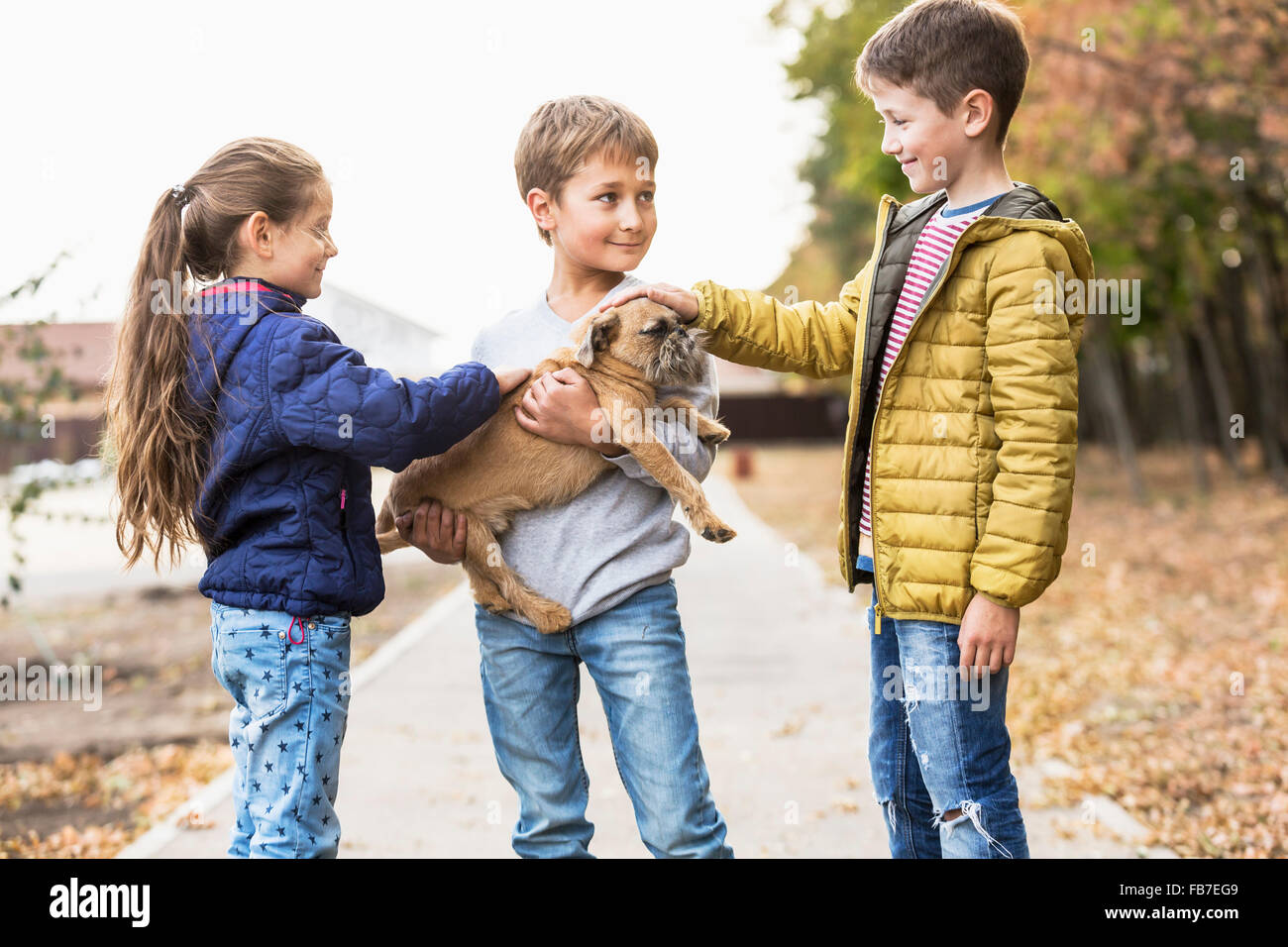 Kinder spielen mit Hund im freien Stockfoto