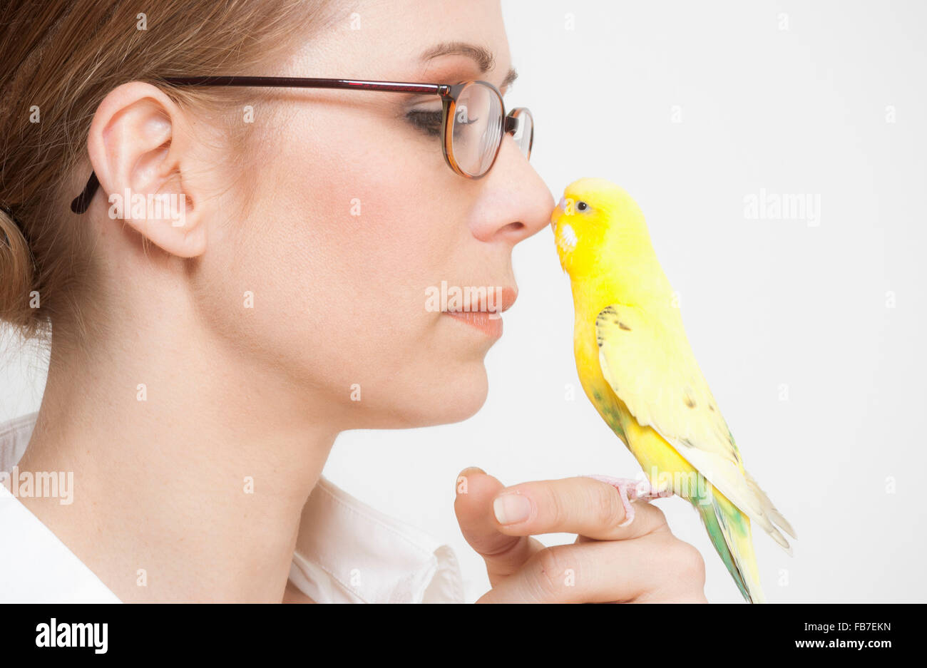 Nahaufnahme der schönen Frau berühren gelben Wellensittich auf Nase vor weißem Hintergrund Stockfoto