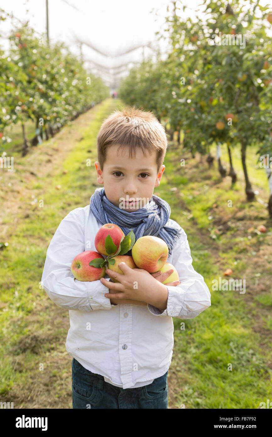 Porträt des netten jungen halten Äpfel am Obstgarten Stockfoto