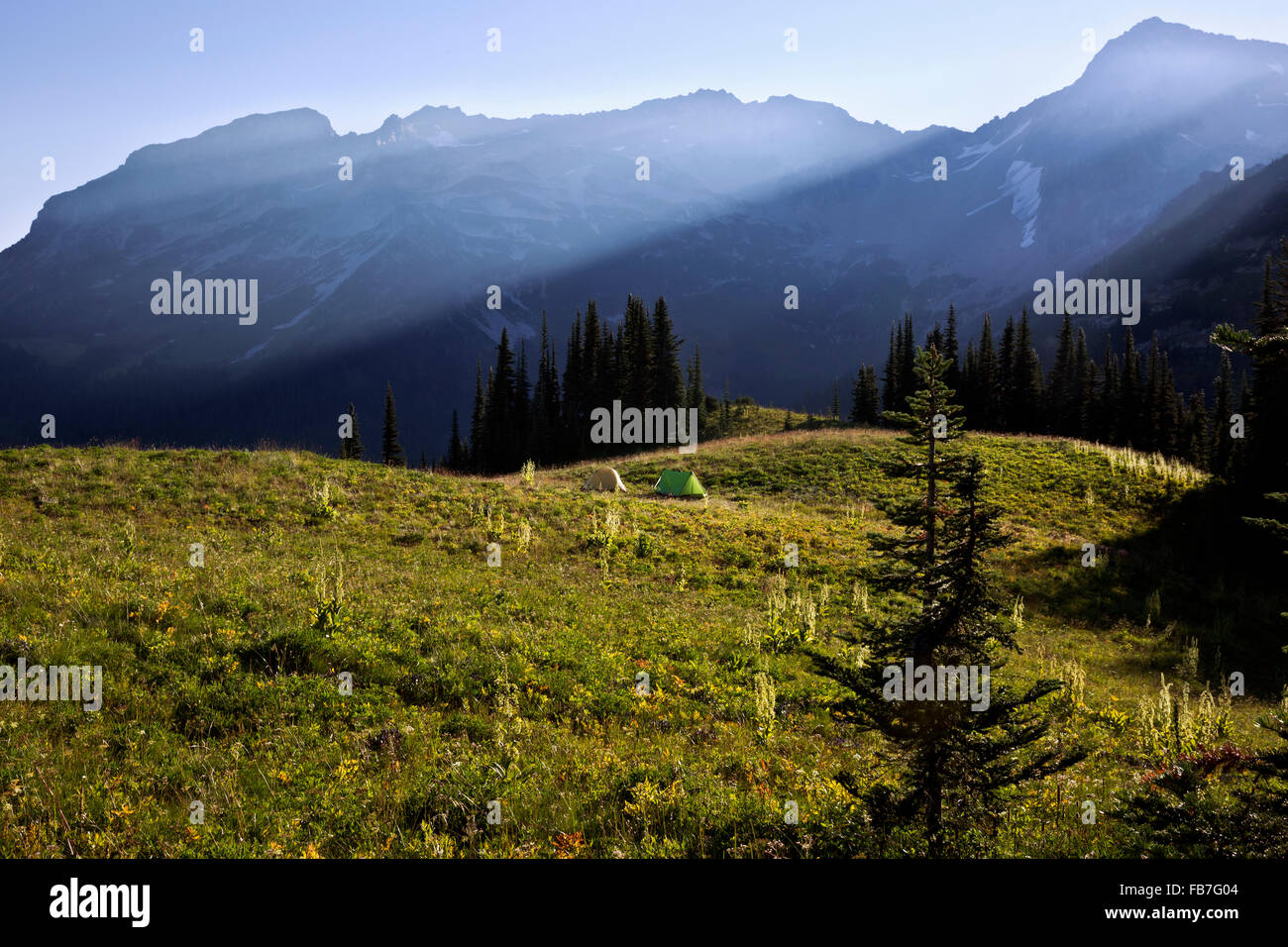 WASHINGTON - Sonnenaufgang über Helm Butte und schlagen die Zelte auf Gipfel der Blume Butte in der Glacier Peak Wilderness lagerten. Stockfoto