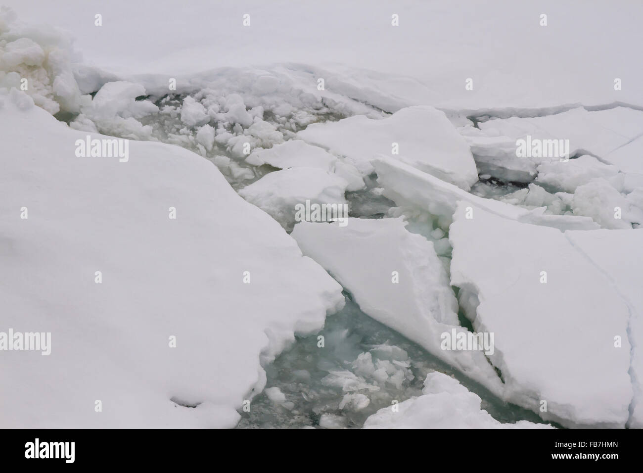 Nahaufnahme von Packeis, Growlers und Bergie Bits schweben in der Antarktis. Stockfoto