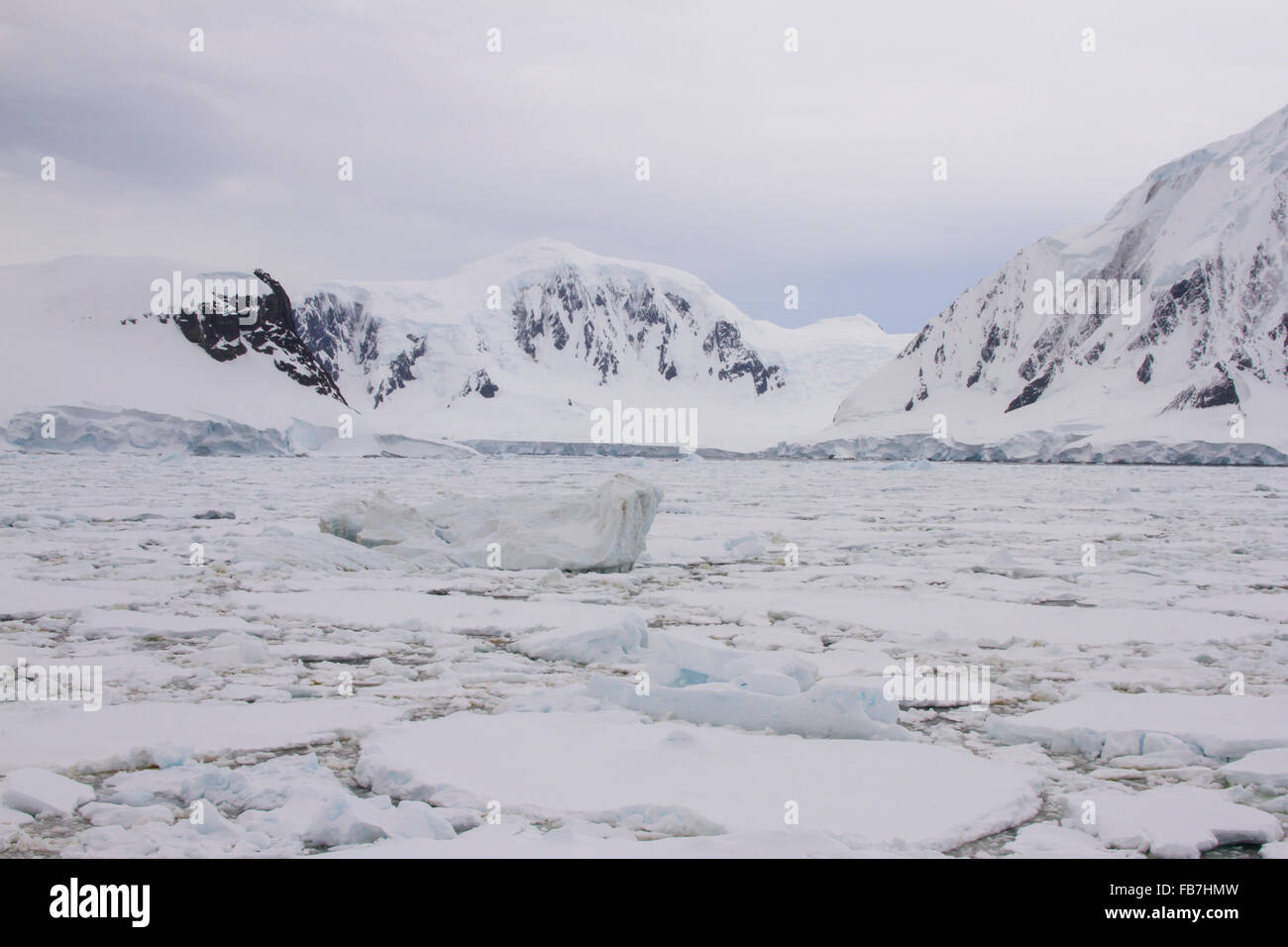 Bereich des Packeises mit Eisbergen umarmt Ufer der antarktischen Halbinsel. Stockfoto