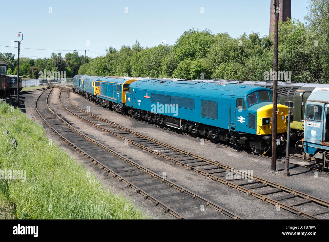 Britische Lokomotiven, Barrow Hill Schuppen Derbyshire England UK Stockfoto