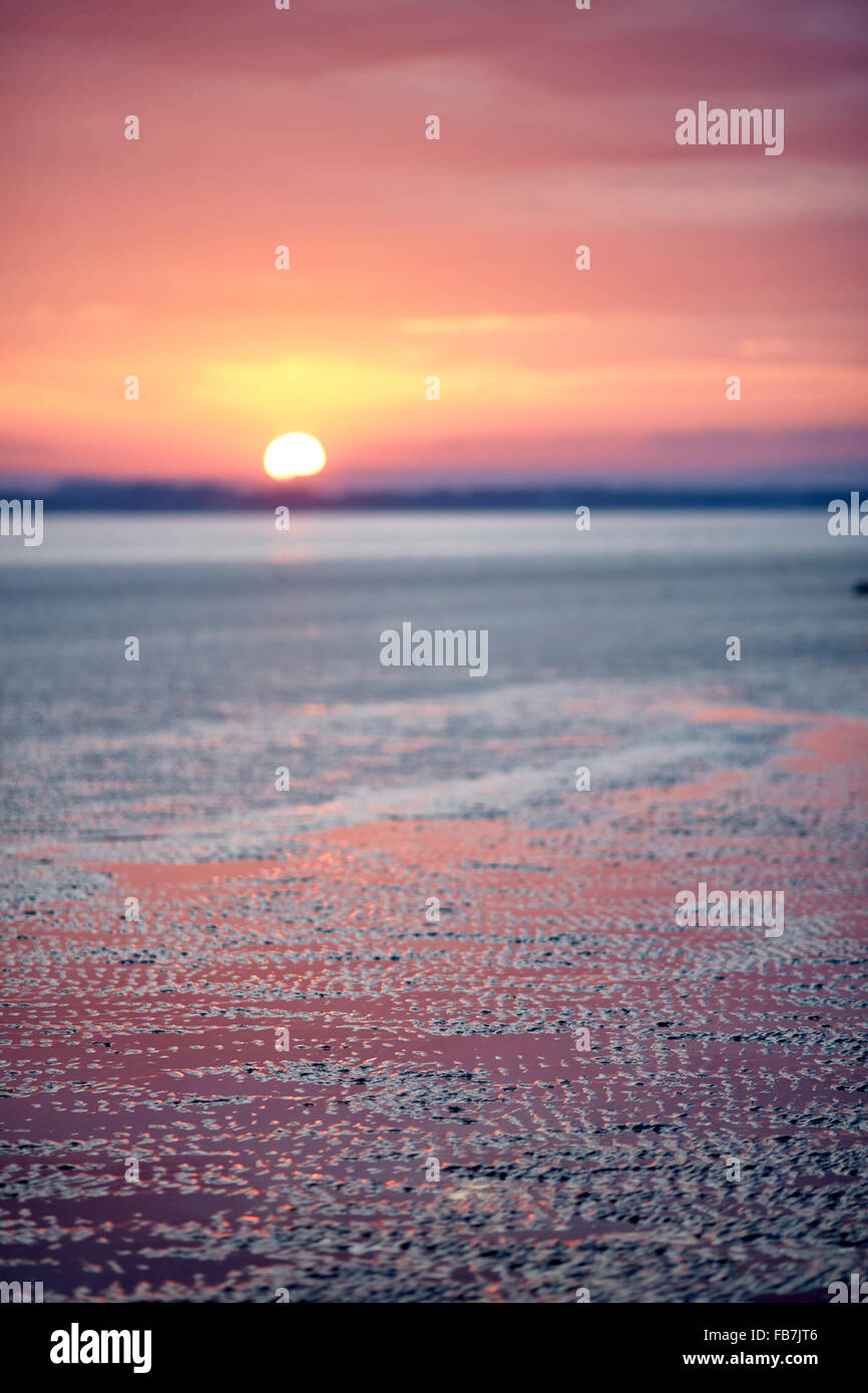 BBC Music Day "für die Liebe zur Musik" Hadrianswall Sound 2015 bei Bowness auf Solway Sümpfe in Cumbria Sonnenaufgang set Orange Stockfoto