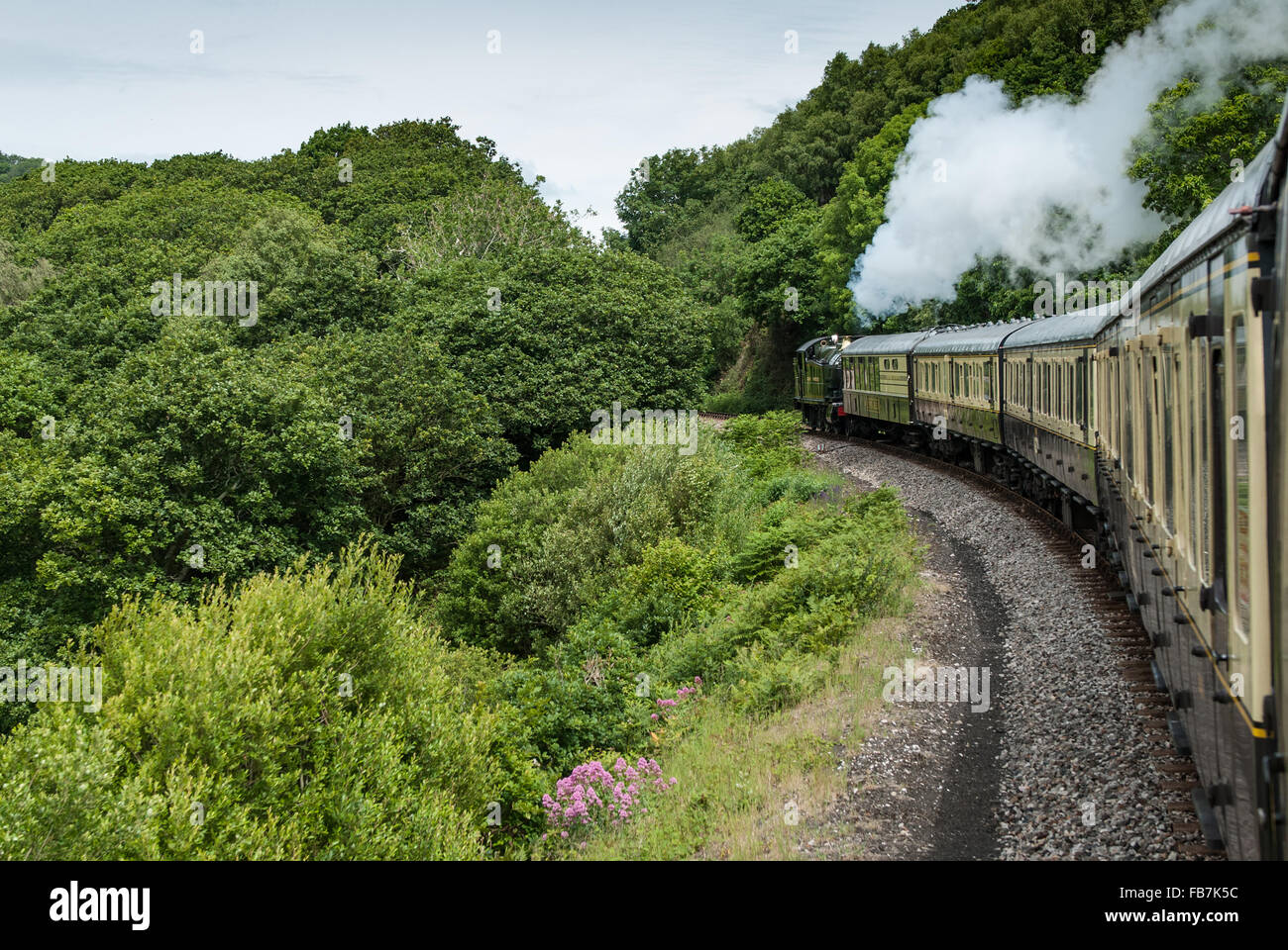 Dartmouth Steam Railway, Dartmouth, Devon, England, Vereinigtes Königreich. Stockfoto