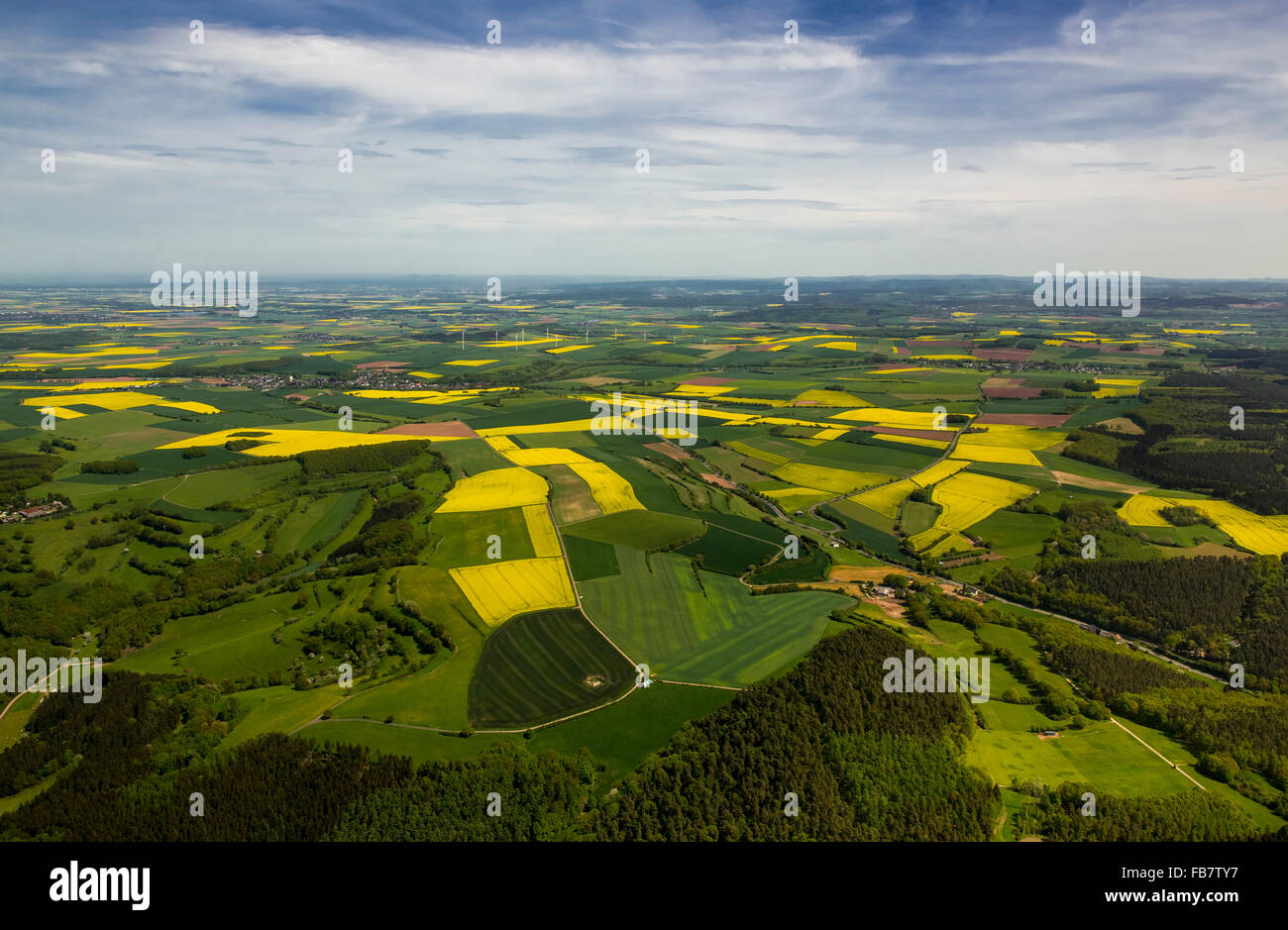 Luftbild, landwirtschaftlichen Kulturflächen und Raps-Felder in Heimbach, Wiesen, Weiden, Himmel mit Stratus Cirrus, Heimbach, Eifel, Stockfoto