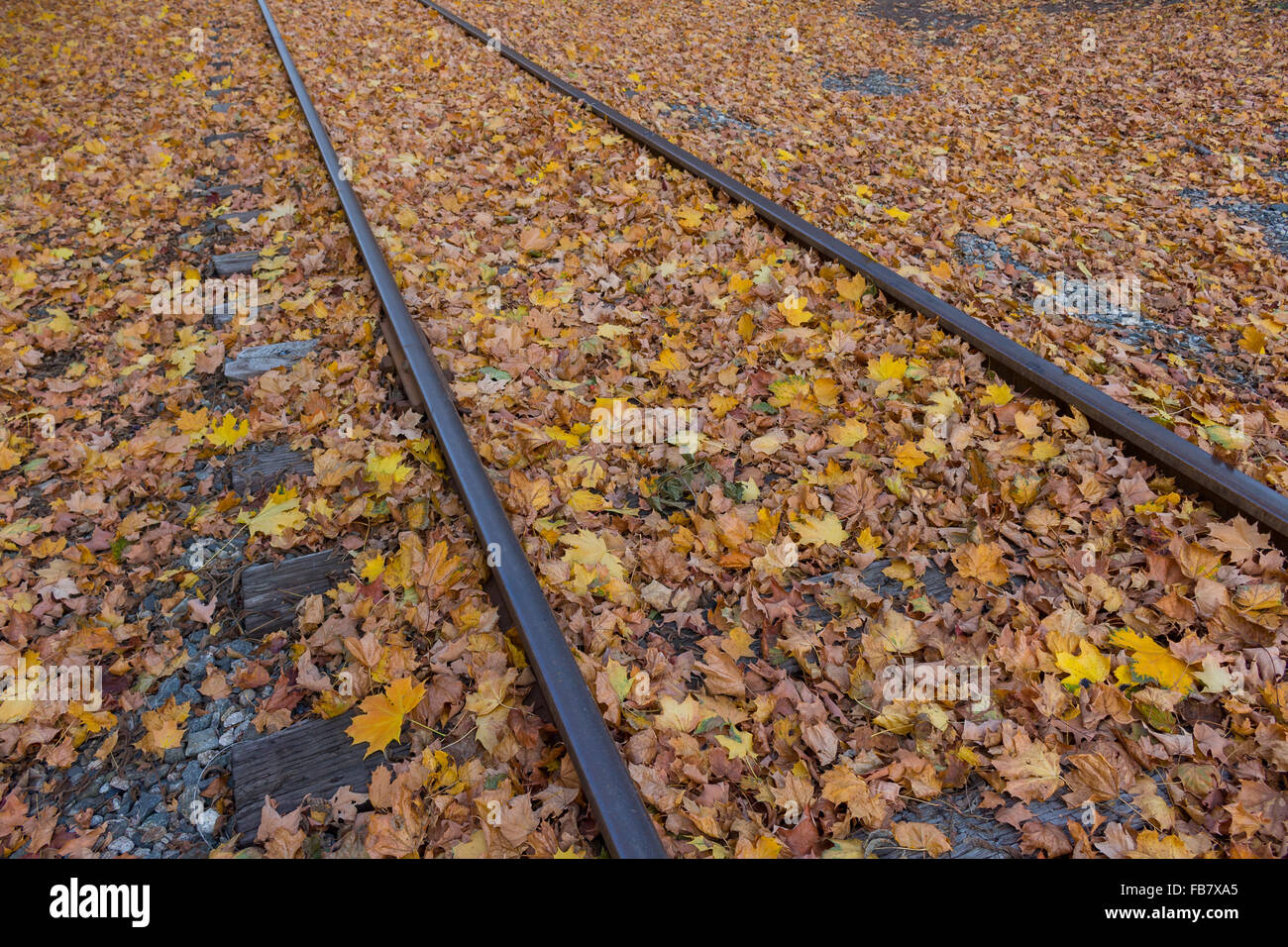 Gleis und Laub in Saco, Maine Stockfoto