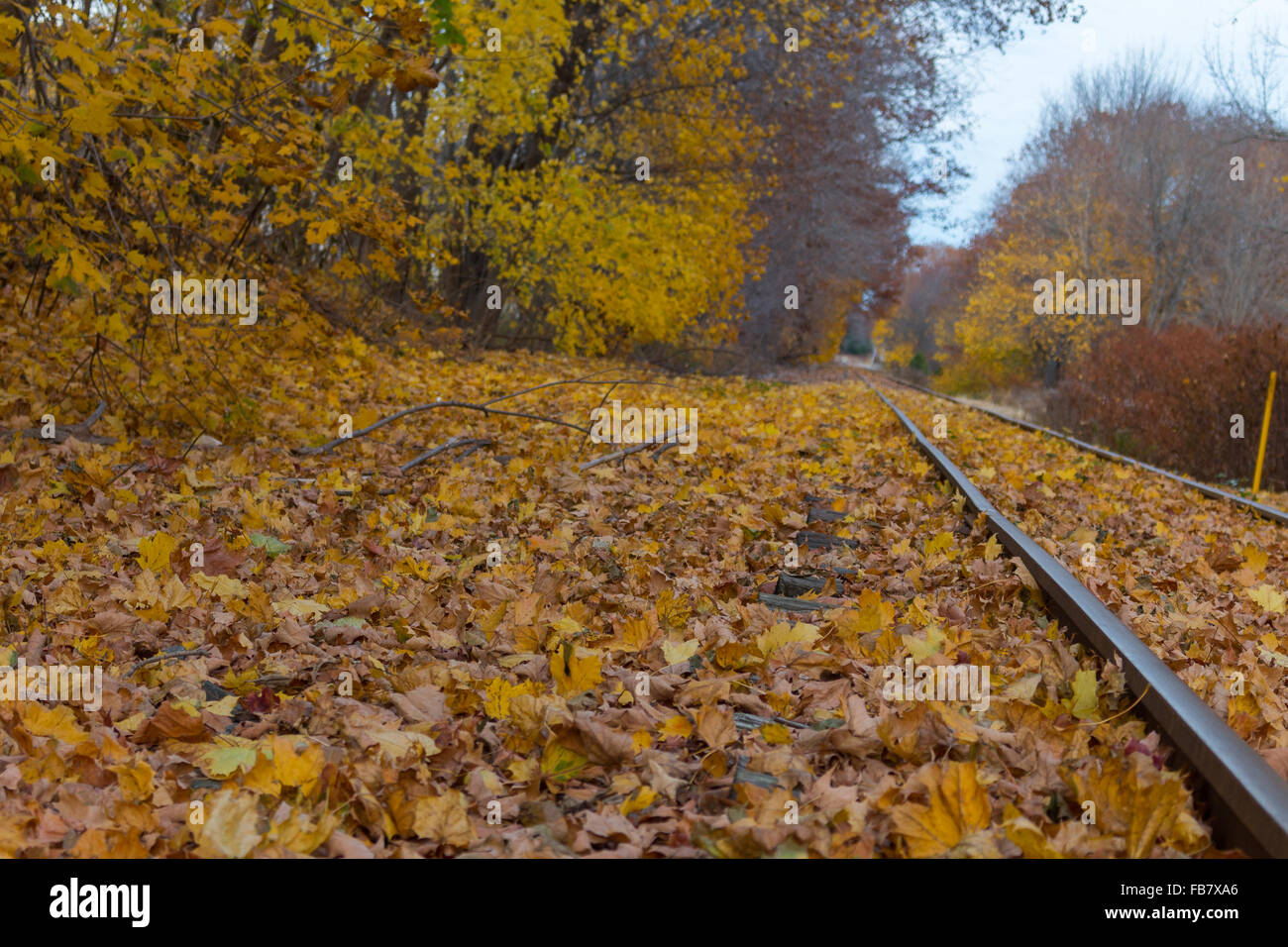Gleis und Laub in Saco, Maine Stockfoto