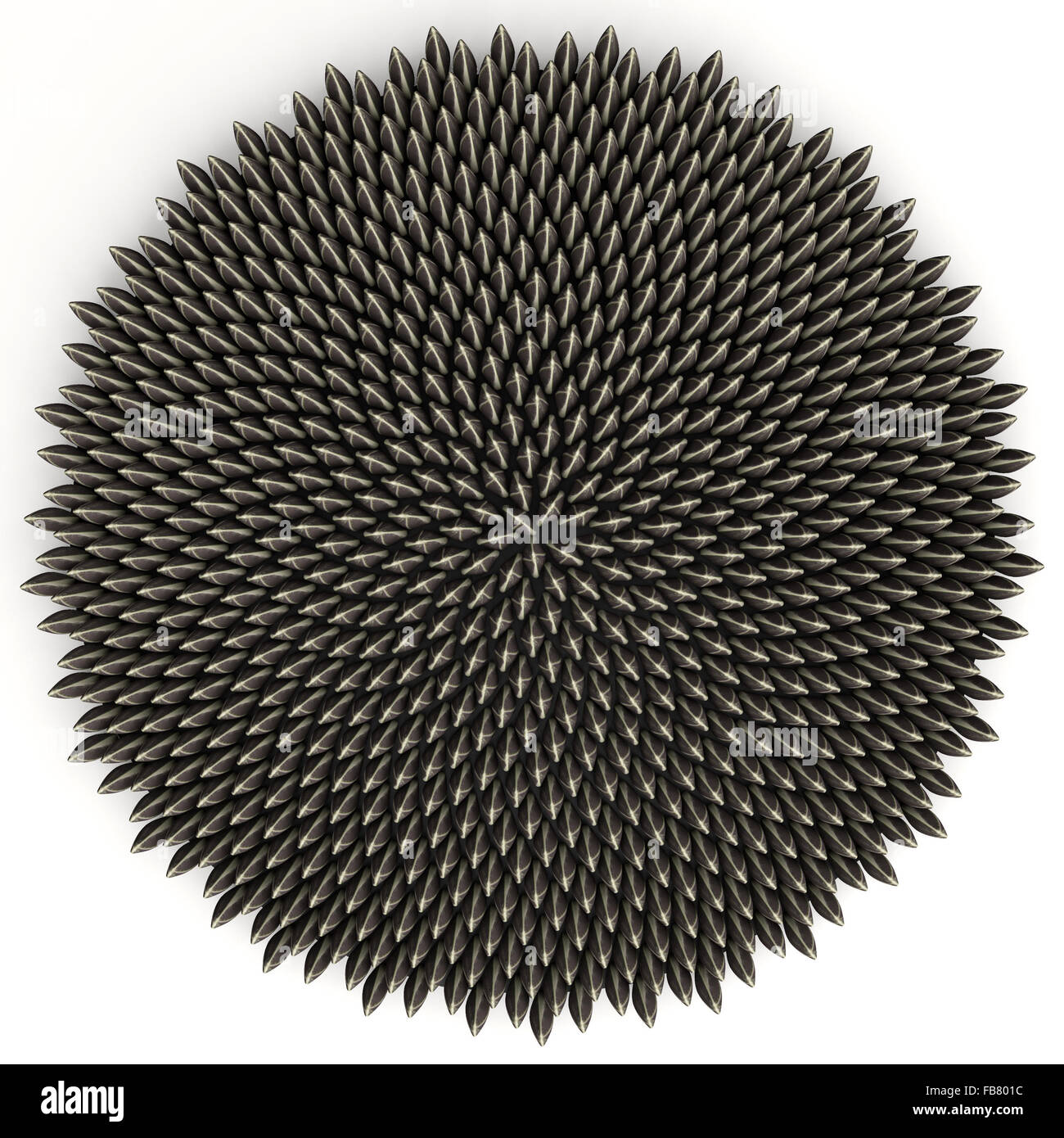 royalty free clipart illustration 3d sonnenblumenkerne fibonacci free royalty free clipart