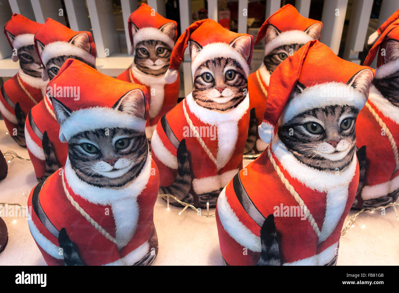 Eine Reihe von identischen Katzen verkleidet als Weihnachtsmann in einem Schaufenster. Stockfoto