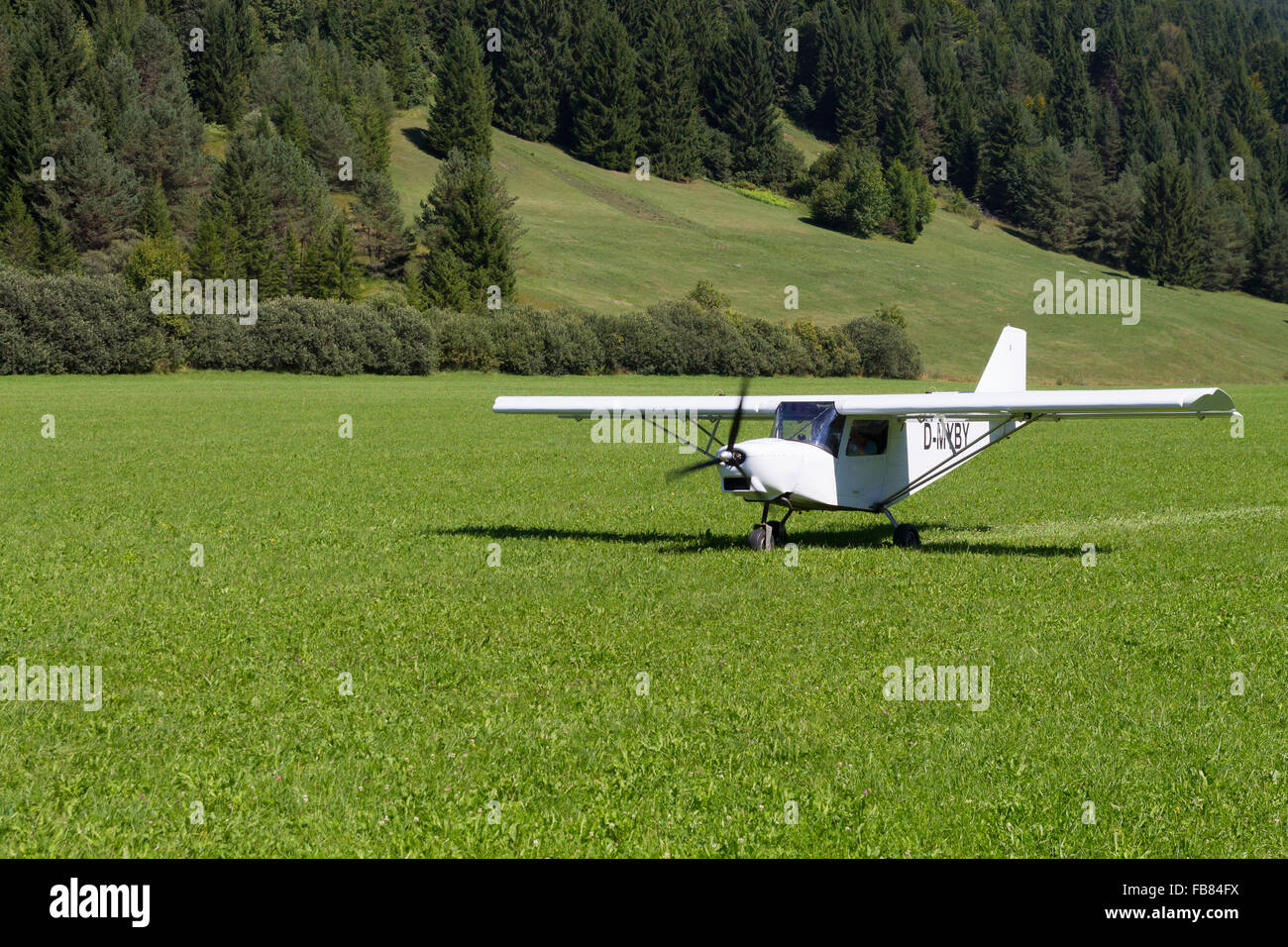 Leichte weiße Flugzeug Landung auf einer grünen Wiese, Transport, outdoor Stockfoto
