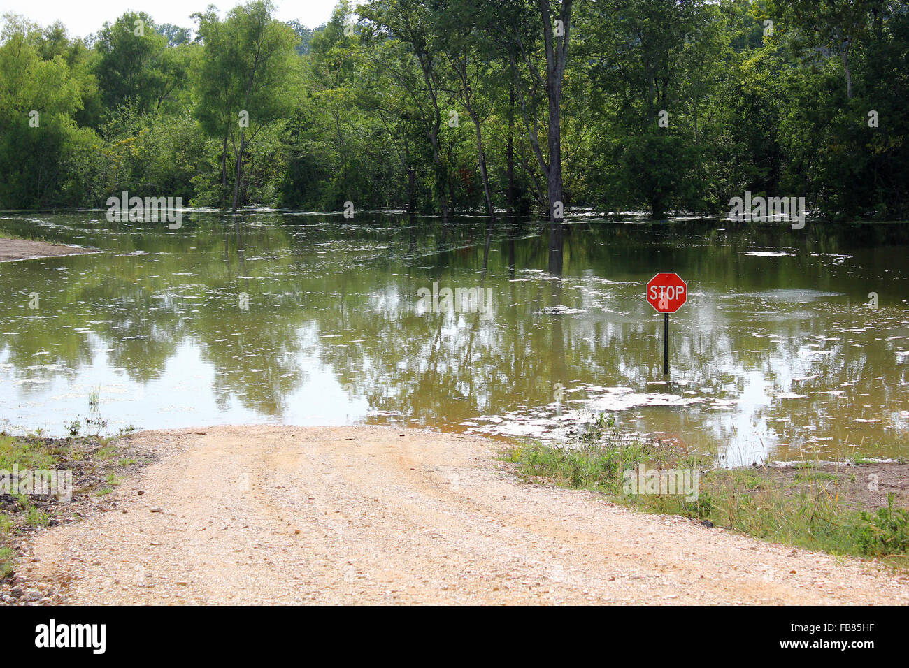 Überflutete Straße Stockfoto