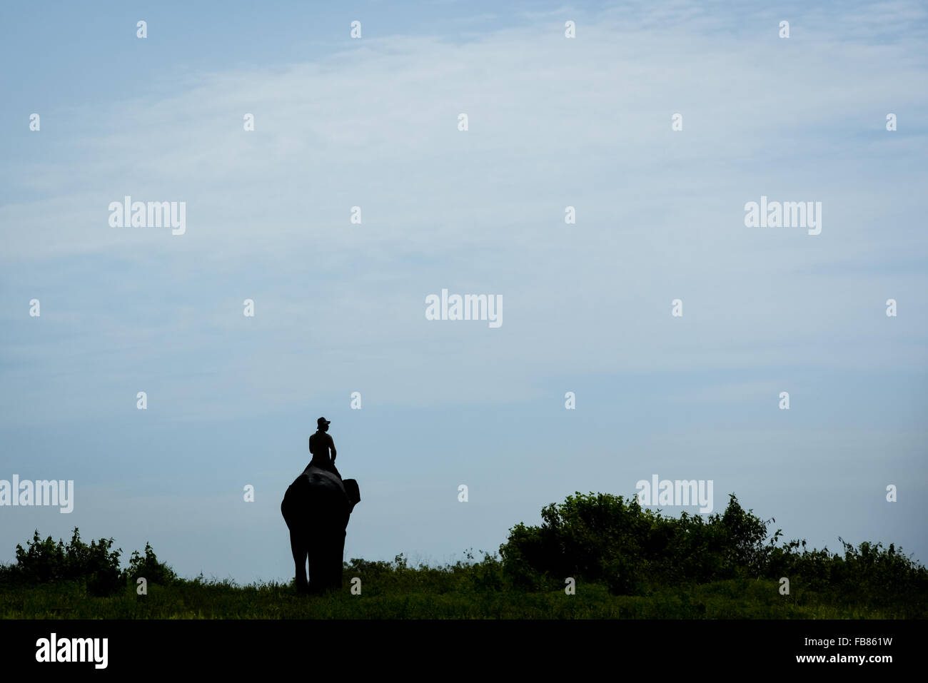 Ein Mahout, der im Sumatran Elephant Rehabilitierungszentrum auf einem Elefanten reitet, der vor strahlendem Himmel silhouettiert wurde. Way Kambas National Park, Indonesien. Stockfoto