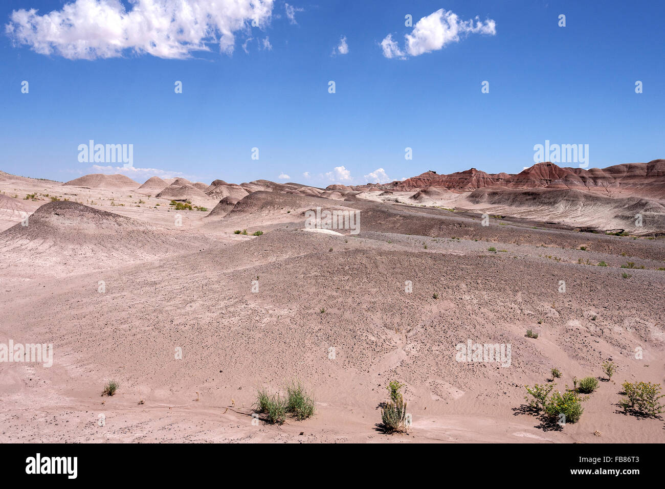 Kahle Hügel, Landschaft, uns Highway 89, Cameron, Arizona, USA Stockfoto