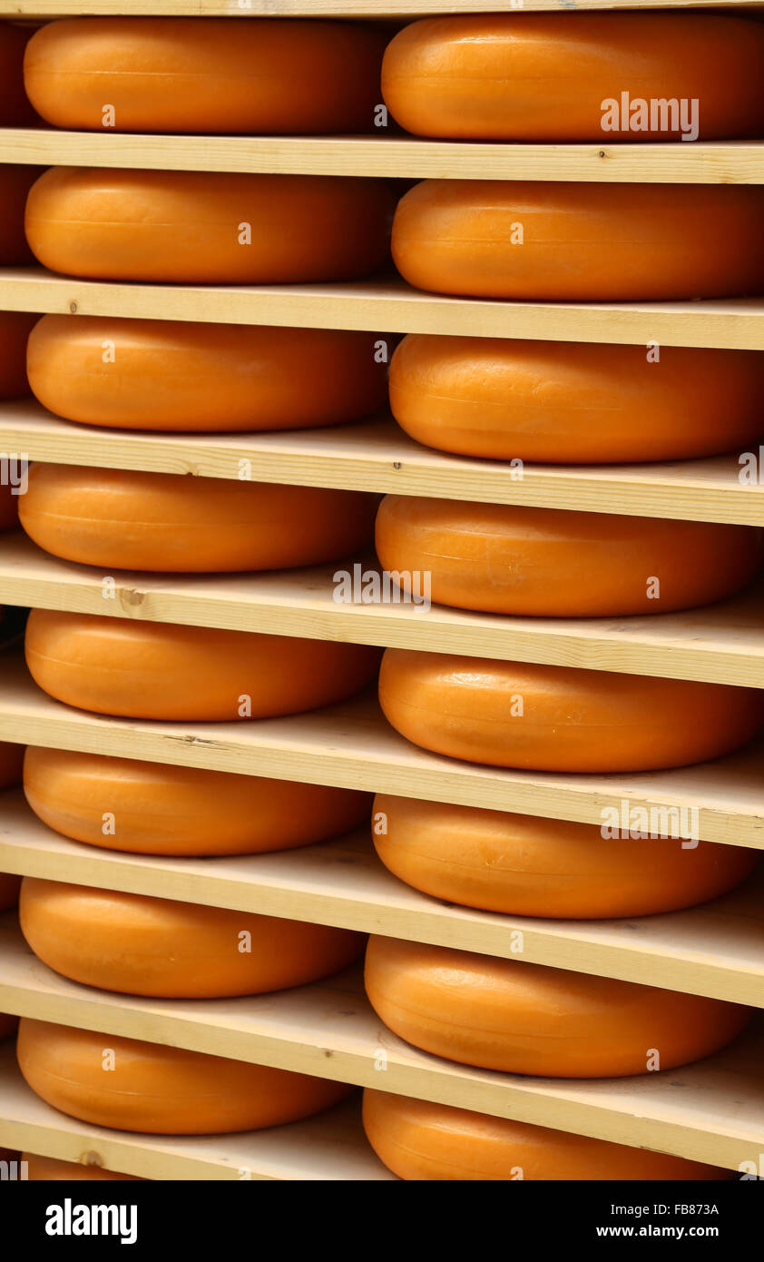 Orange Käse während der Reifung in der Molkerei Stockfoto