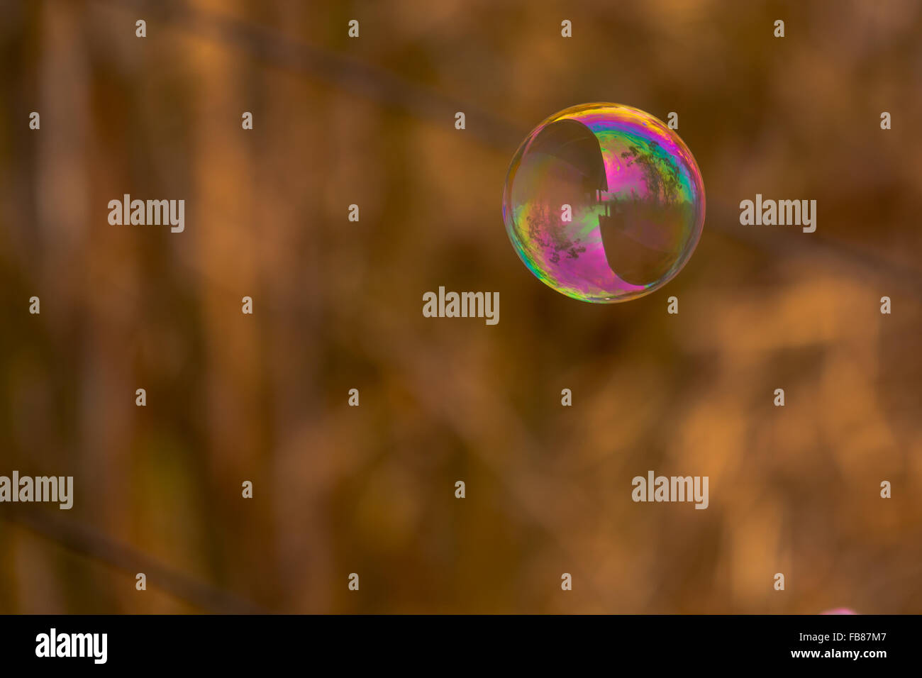 Blase mit Farben des Regenbogens. Stockfoto