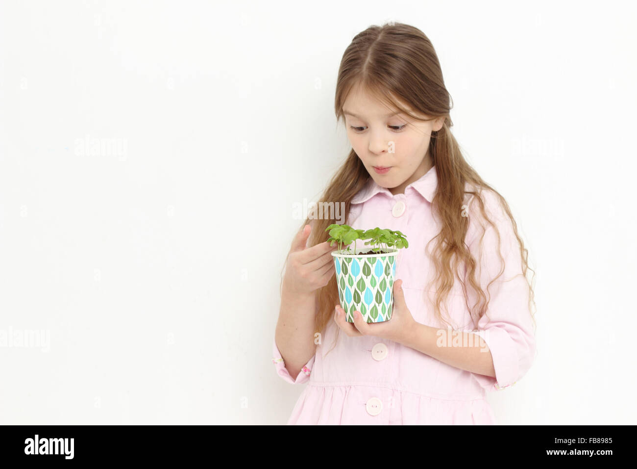 kleine Mädchen Holding Basilikum Stockfoto