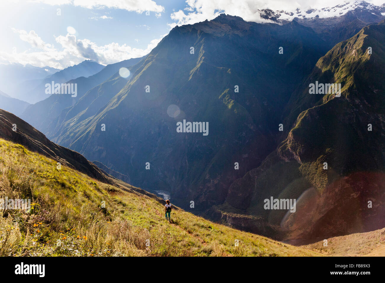 Ein Knie Knicken Abstieg entlang des Apurímac Canyons auf dem Inka-Trail, Peru Choquequirao. Stockfoto