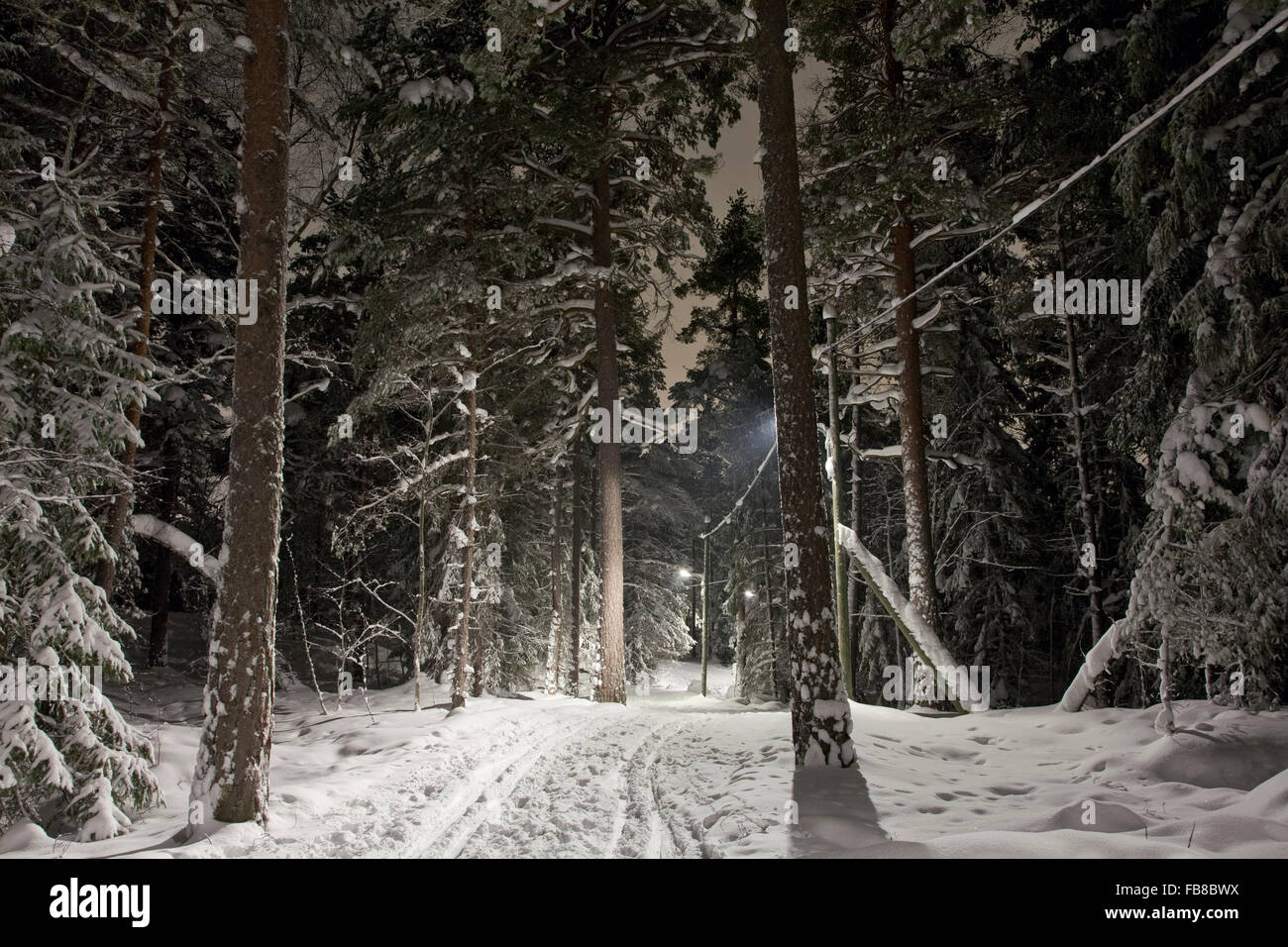 Schweden, Sodermanland, Stockholm, Skarpnack, Nackareserva, Blick auf Ski zu verfolgen, in der Nacht Stockfoto