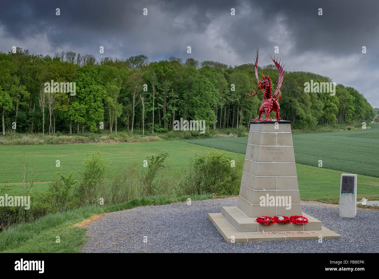 Das 38. (Walisisch) Division Memorial, Mametz Holz, Frankreich. Stockfoto
