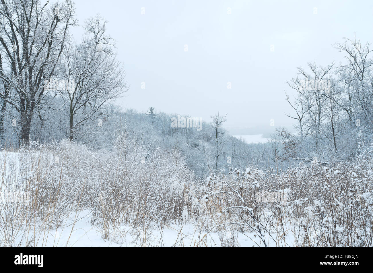 Winterlandschaft in Pine Bend bluffs wissenschaftlichen und natürlichen Umgebung mit Blick auf Mississippi Fluß in Minnesota Inver Grove heights Stockfoto