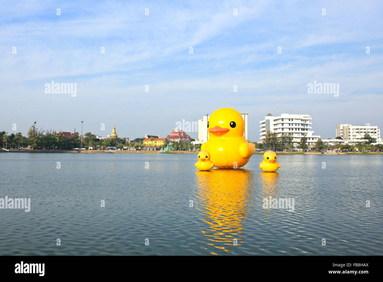 Die gelben Enten ist die meisten Schlager-Ansicht für Fotos. Der Park der großen Provinzen ist berühmt, Udonthani, Thailand. Stockfoto