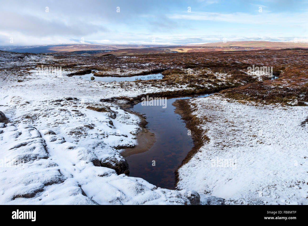 Weiß nun Frühling, Cronkley Fell, obere Teesdale County Durham UK Stockfoto