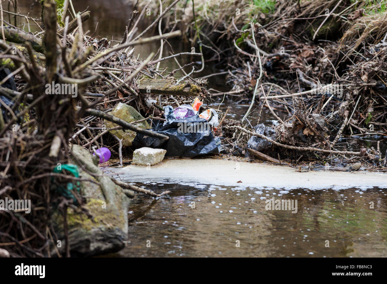 Kunststoff und anderen Müll zu verschmutzen und behindern den Fluss von einem Stream England UK Stockfoto