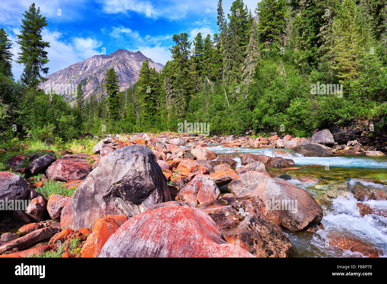 Orange mit Steinen im Einklang mit den Bergfluss. Die Farbe der Steine geben crustose Flechten. Ost-Sibirien. Russland Stockfoto