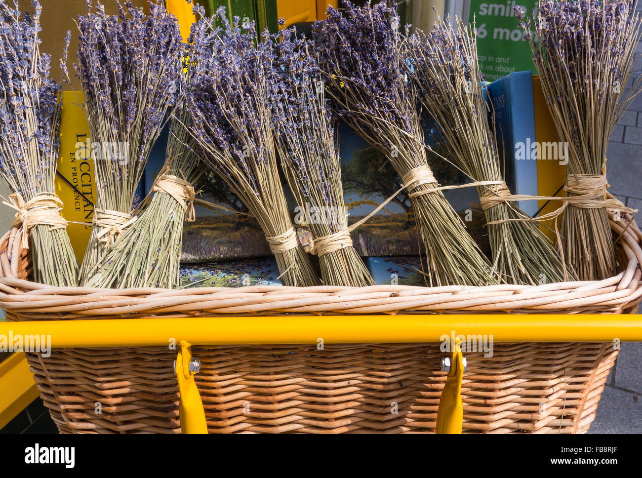 Lavendel Trauben im Weidenkorb Stockfoto