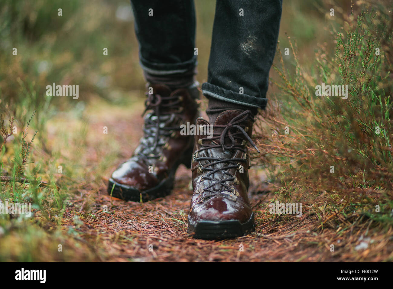 Die Wanderschuhe von Frau im Wald Stockfoto