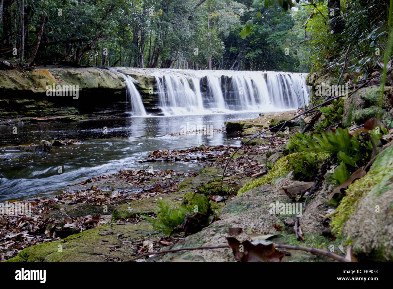 Radix Wasserfall im brasilianischen Amazonas-Regenwald Stockfoto