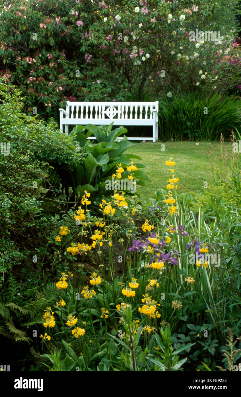 Gelbe Kandelaber Primeln und blauen Schwertlilien im Garten Grenze neben Liegewiese mit weiß lackierten Holzsitz Stockfoto