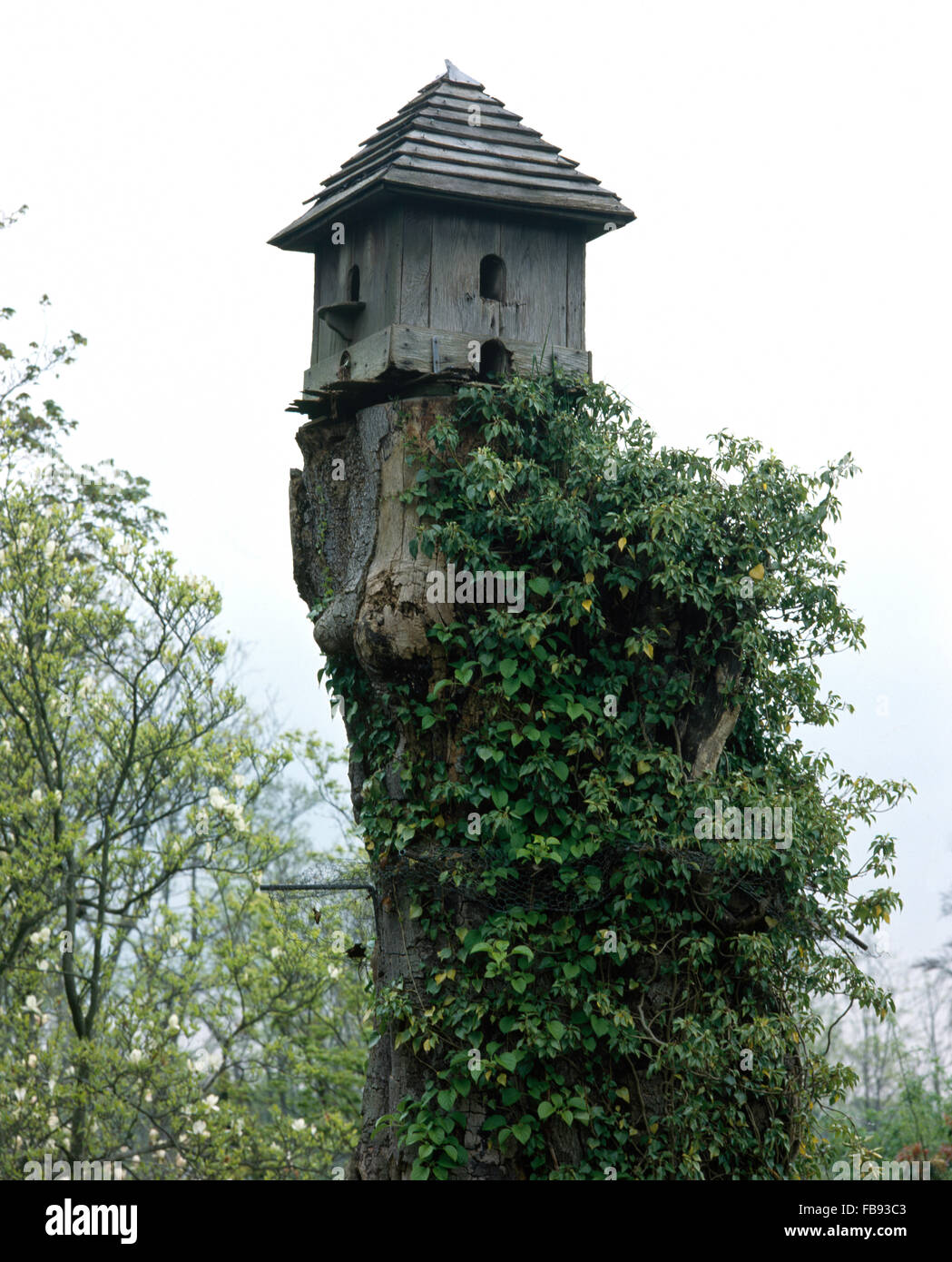 Vogelhausbaum aus holz -Fotos und -Bildmaterial in hoher Auflösung – Alamy