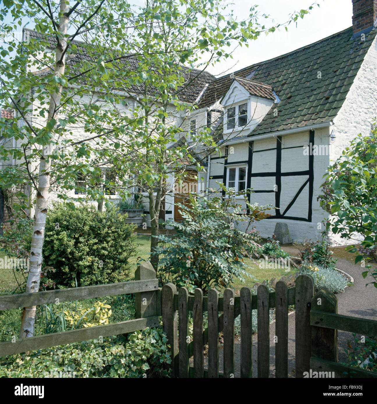 Kleinen Birke neben Holztor in Vorgarten eine schwarze + weisse Fachwerkhaus Stockfoto