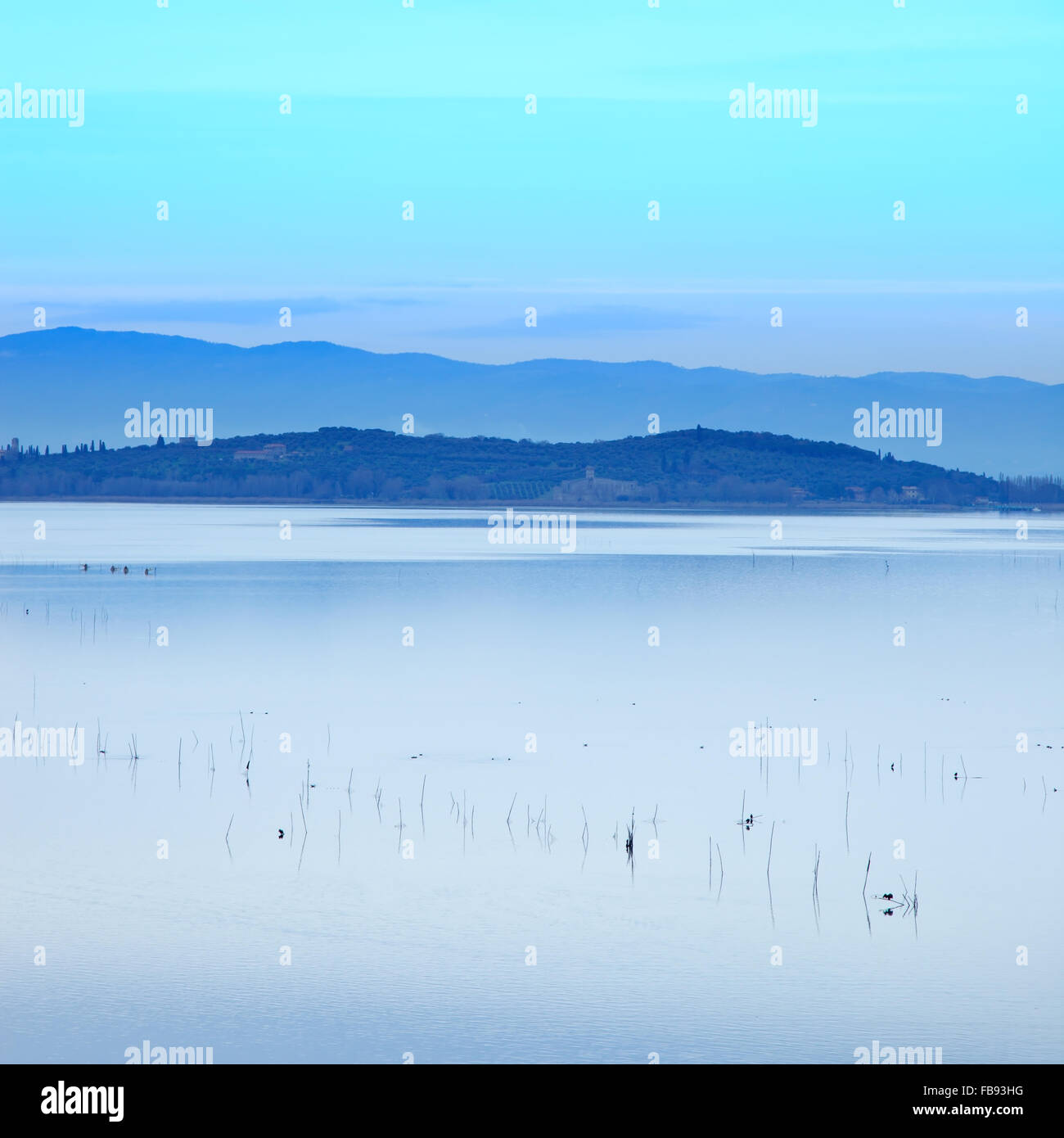 Fischernetze und ein Vogel auf einer ruhigen blauen Landschaft des Trasimeno-Sees auf Sonnenuntergang. Umbrien, Italien. Stockfoto