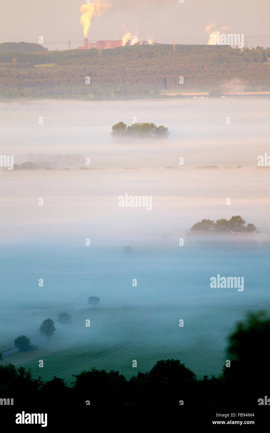 Ancholme Flusstal, North Lincolnshire, Nebel, Bäume über dem Nebel im Tal, Scunthorpe Stahlwerk im Hintergrund, Stockfoto